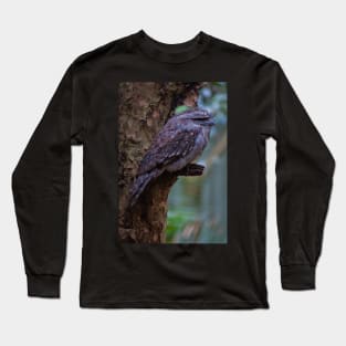 Tawny Frogmouth 2 Long Sleeve T-Shirt